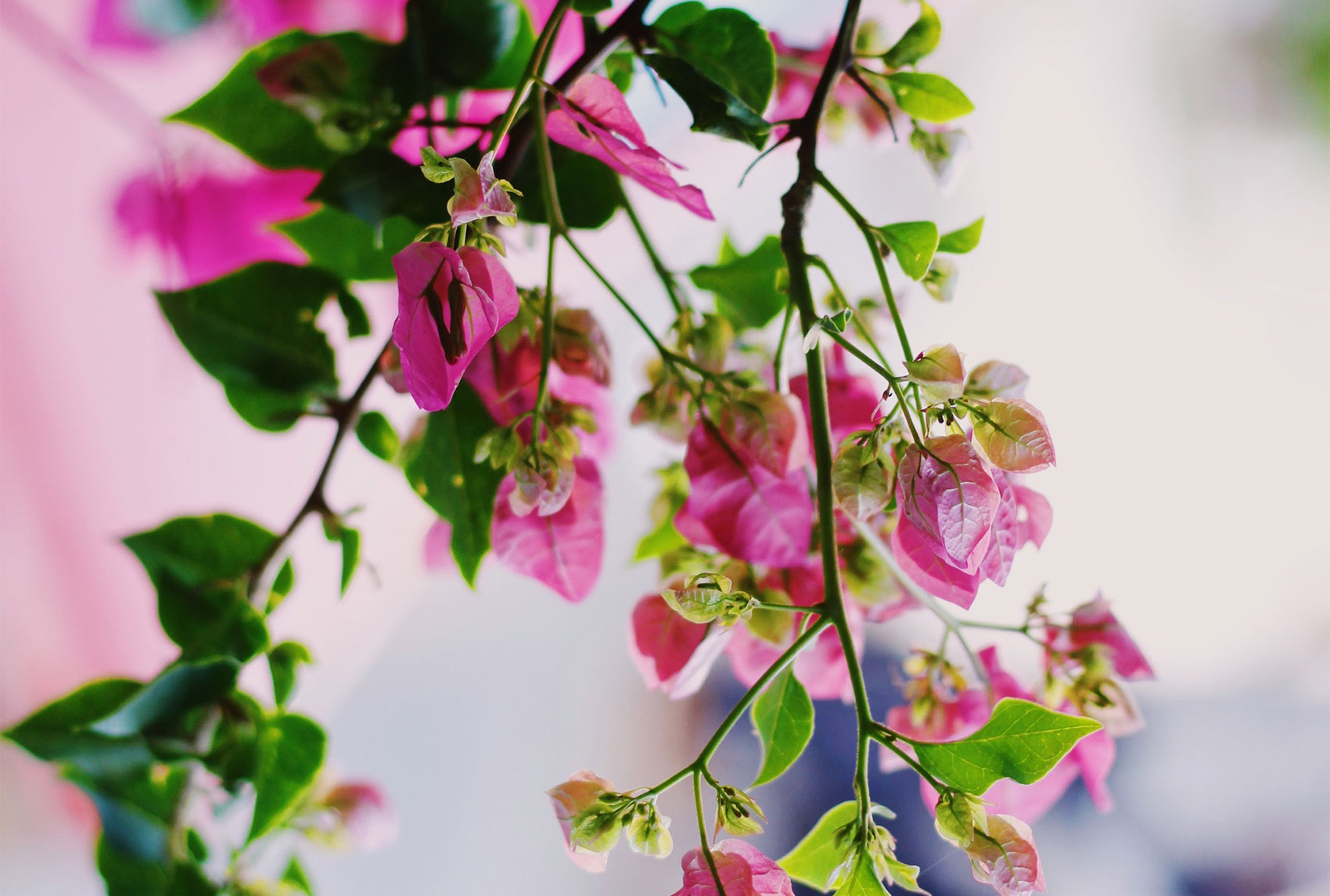 HOW TO HANDLE WAKING UP TO A JOB YOU DREAD